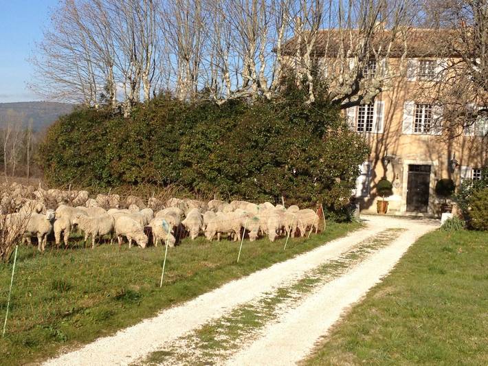 B & b Bed and Breakfast Auténtica Bastide típicamente provenzal in Brignoles, Región Brignoles