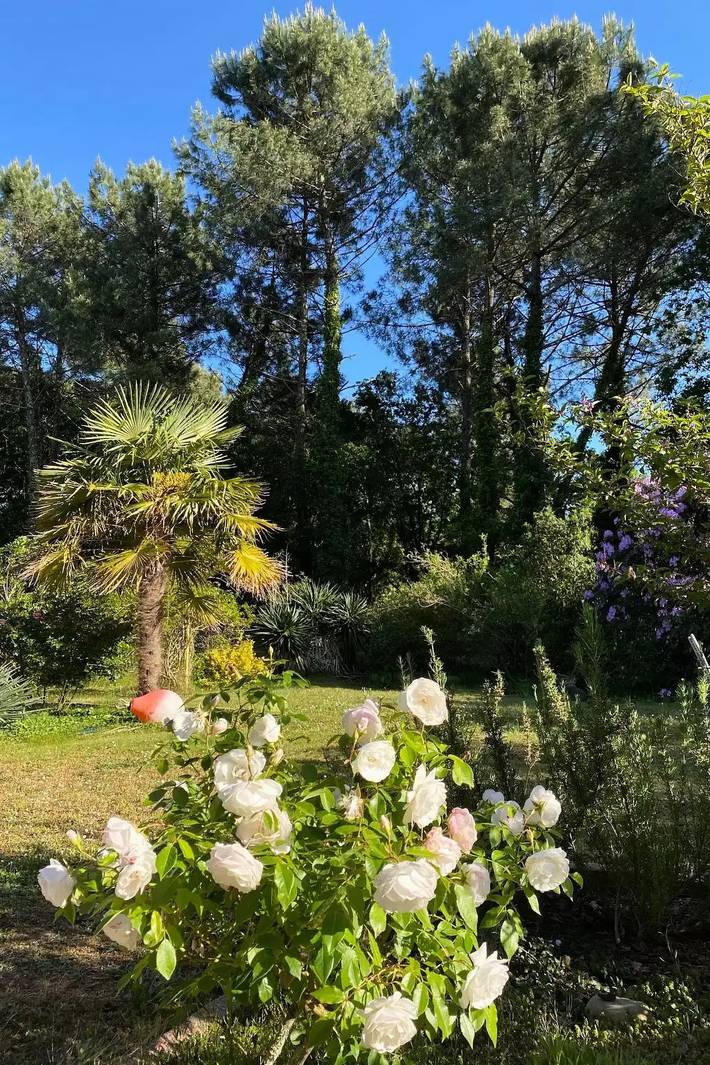 Haus 7 Personen in Messanges, Côte d’Argent