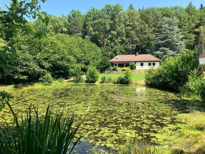 Ferienhaus für 6 Personen, mit Terrasse und Garten sowie Ausblick im Odenwald - 4