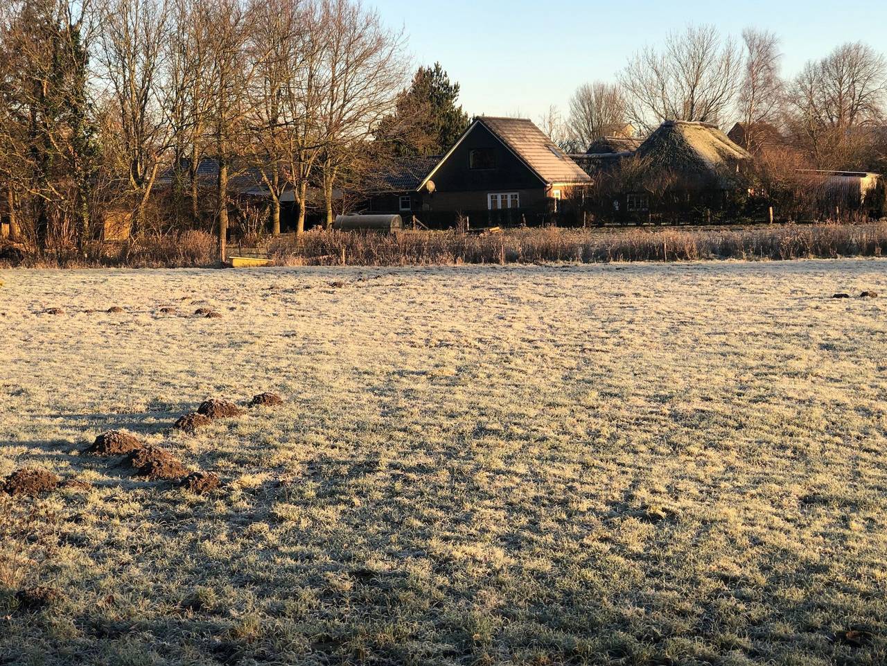 Pension - Hotel (garni) Altes Pastorat - Dz 1 Nacht 2 Betten in Langenhorn, Nordfriesland