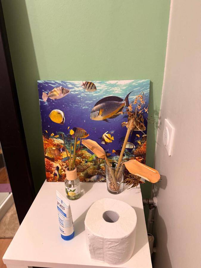 Maison d’hôte pour 2 personnes, avec terrasse à Saint-Malo - 2