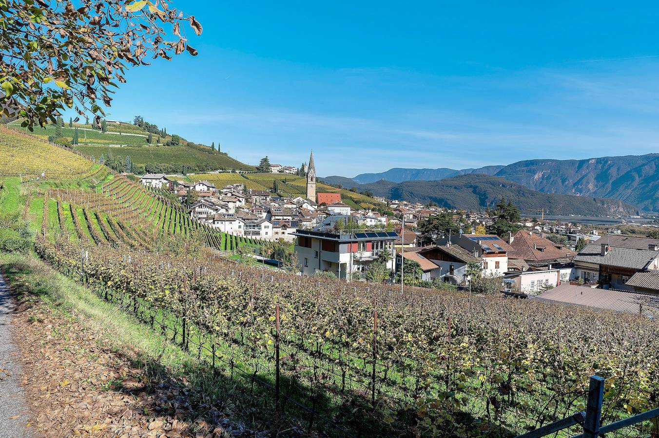 Ganze Wohnung, Ferienwohnung 'Rungg' mit Bergblick, Gemeinschaftsterrasse und Wlan in Tramin an der Weinstraße, Nonsberggruppe