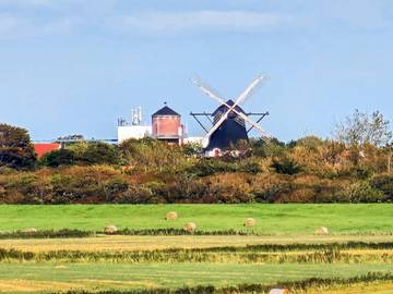 Ferieudlejning til 16 Personer i Højer, Vesterhavet, Billede 2