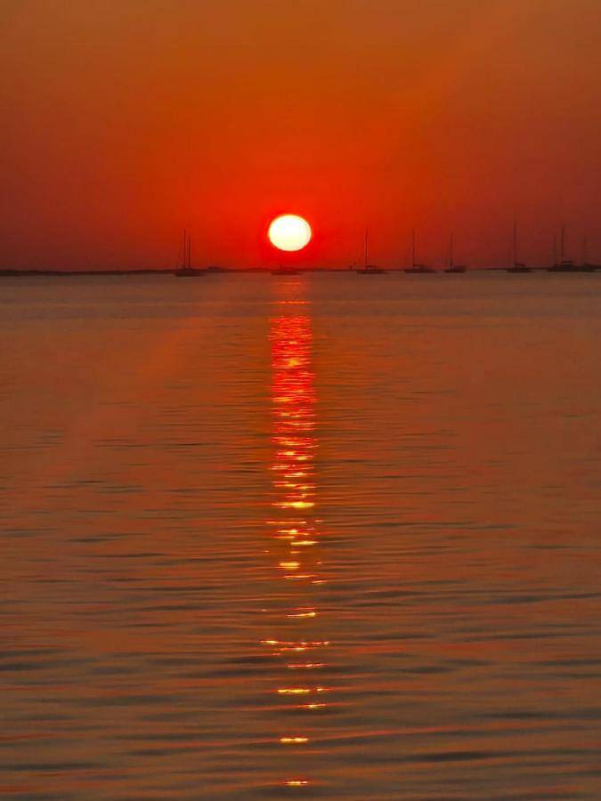 Mobile Home in Sé (Faro), Ria Formosa