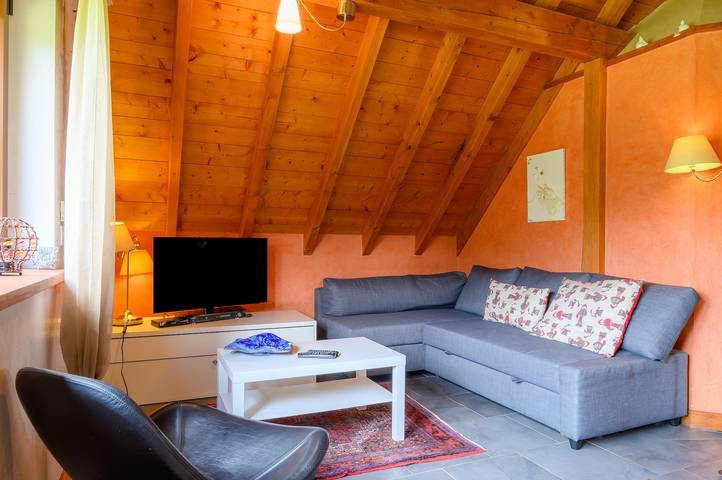 Appartement entier, Appartement "Lodjadis" avec vue sur les montagnes, jardin privé et Wi-Fi in Labaroche, Parc naturel régional des Ballons des Vosges