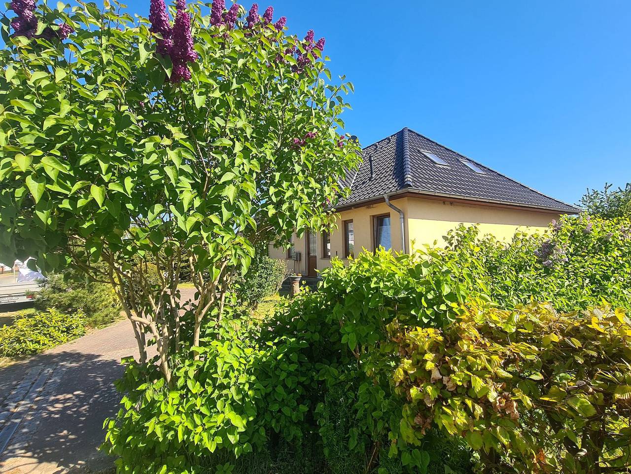 Fewo am Kleinbauernhof Gersdorf bei Kühlungsborn - 1-Raum-Ferienwohnung (max 2 Pers, 45m²) mit Gartenterrasse in Gersdorf, Biendorf