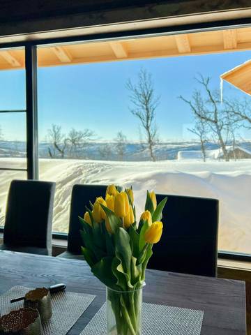 Feriehus til 12 Personer i Geilo, Hol, Bilde 3