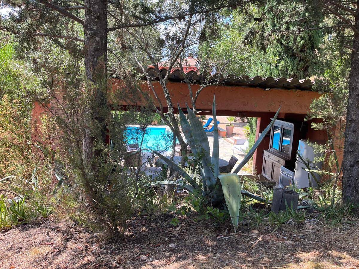 Casa de Patarra gîte dans le maquis avec piscine privée in Peri, Région d'Ajaccio