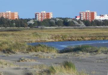 Vakantiewoning voor 4 Personen in St. Peter-Bad, St. Peter-Ording, Afbeelding 2