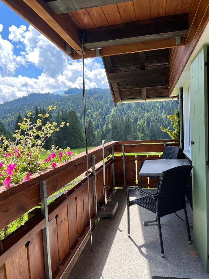 Gîte pour 2 personnes, avec jardin et vue à Balderschwang - 4