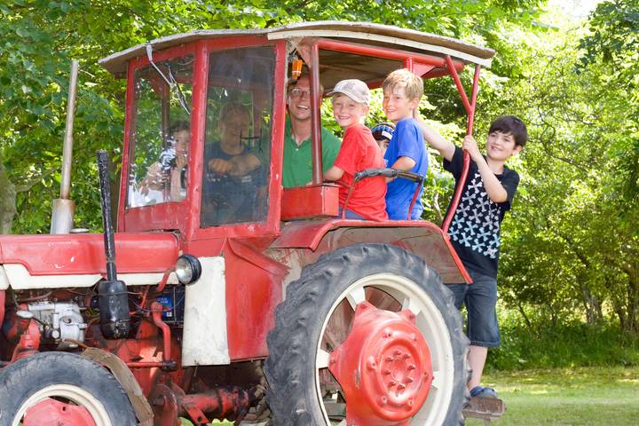 Bauernhof für 5 Personen, mit Garten, mit Haustier auf Fehmarn - 3