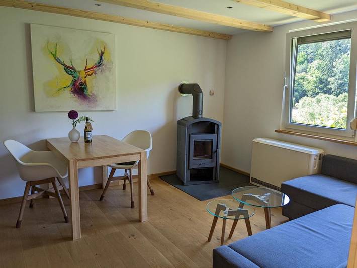 Ferienhaus für 4 Personen, mit Terrasse und Sauna sowie Ausblick in Schleusegrund - 2
