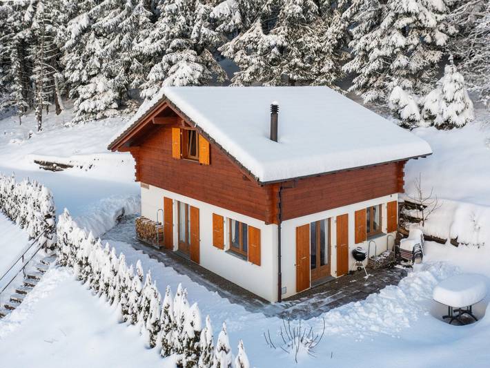 Location de vacances pour 6 personnes, avec sauna ainsi que jardin et terrasse dans Ovronnaz - 3