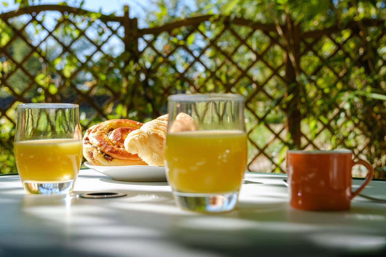 Gîte en Sologne in Brinon-sur-Sauldre, Sologne