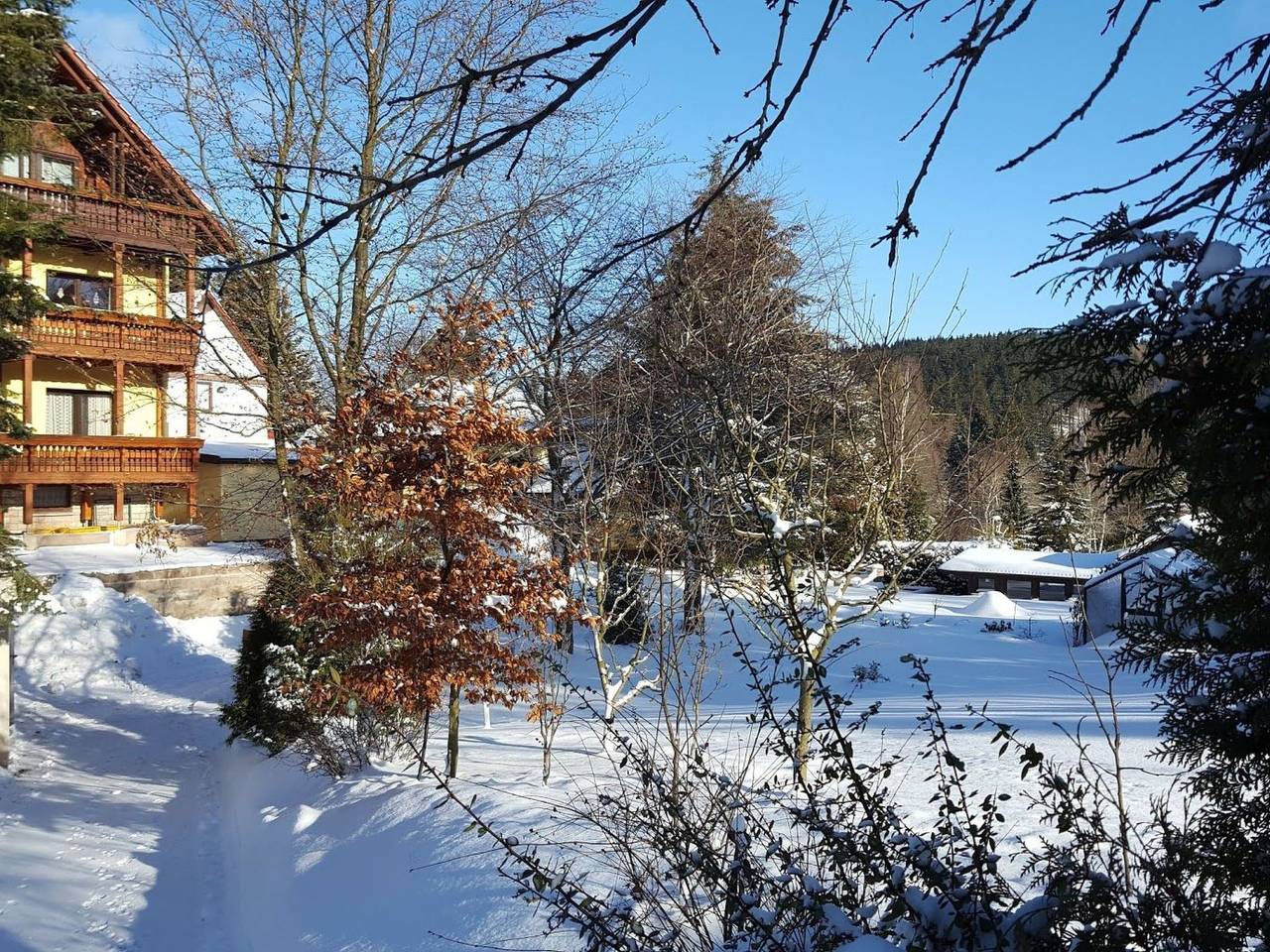 Ganze Wohnung, Komfortwohnung in Finsterbergen, Friedrichroda