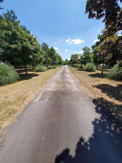 Gîte pour 2 personnes, avec jardin à Saintes - 2
