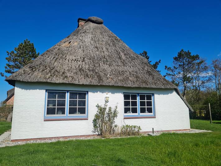 Ferienhaus für 6 Personen, mit Garten und Terrasse, kinderfreundlich in St. Peter-Ording - 3