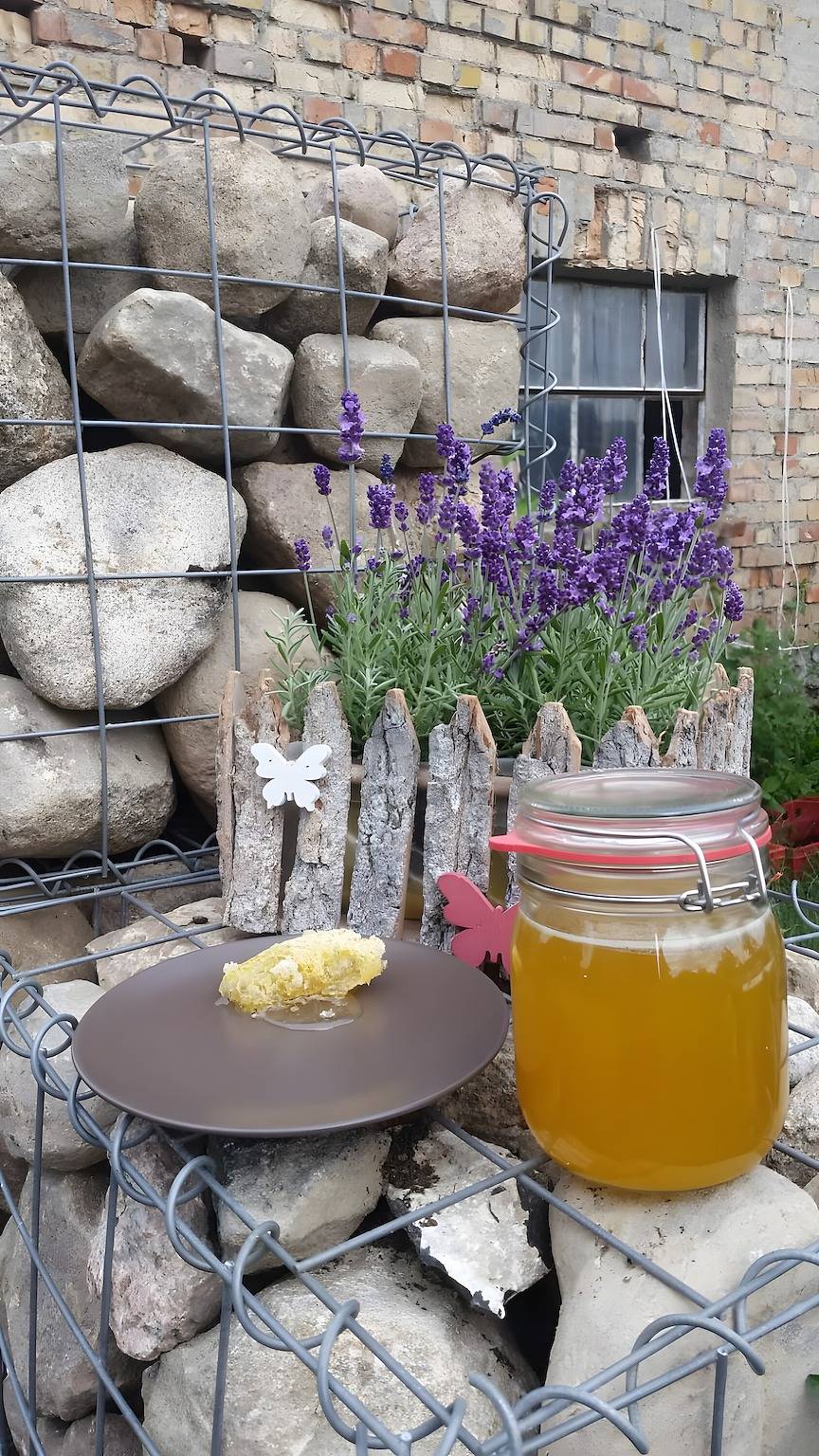 Ganze Wohnung, Apartment „Lütt Smedhoff - Dresden“ mit Gemeinschaftspool, Garten und Wlan in Mecklenburgische Seenplatte