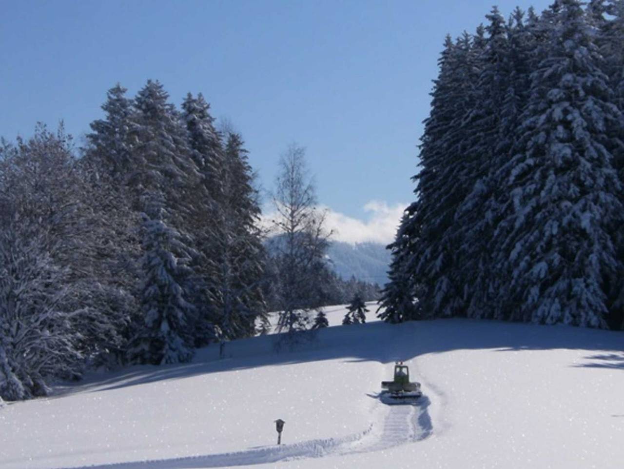 Biohof Haus Wieser - Ferienwohnung, Studio 1 in Abtenau, Tennengau