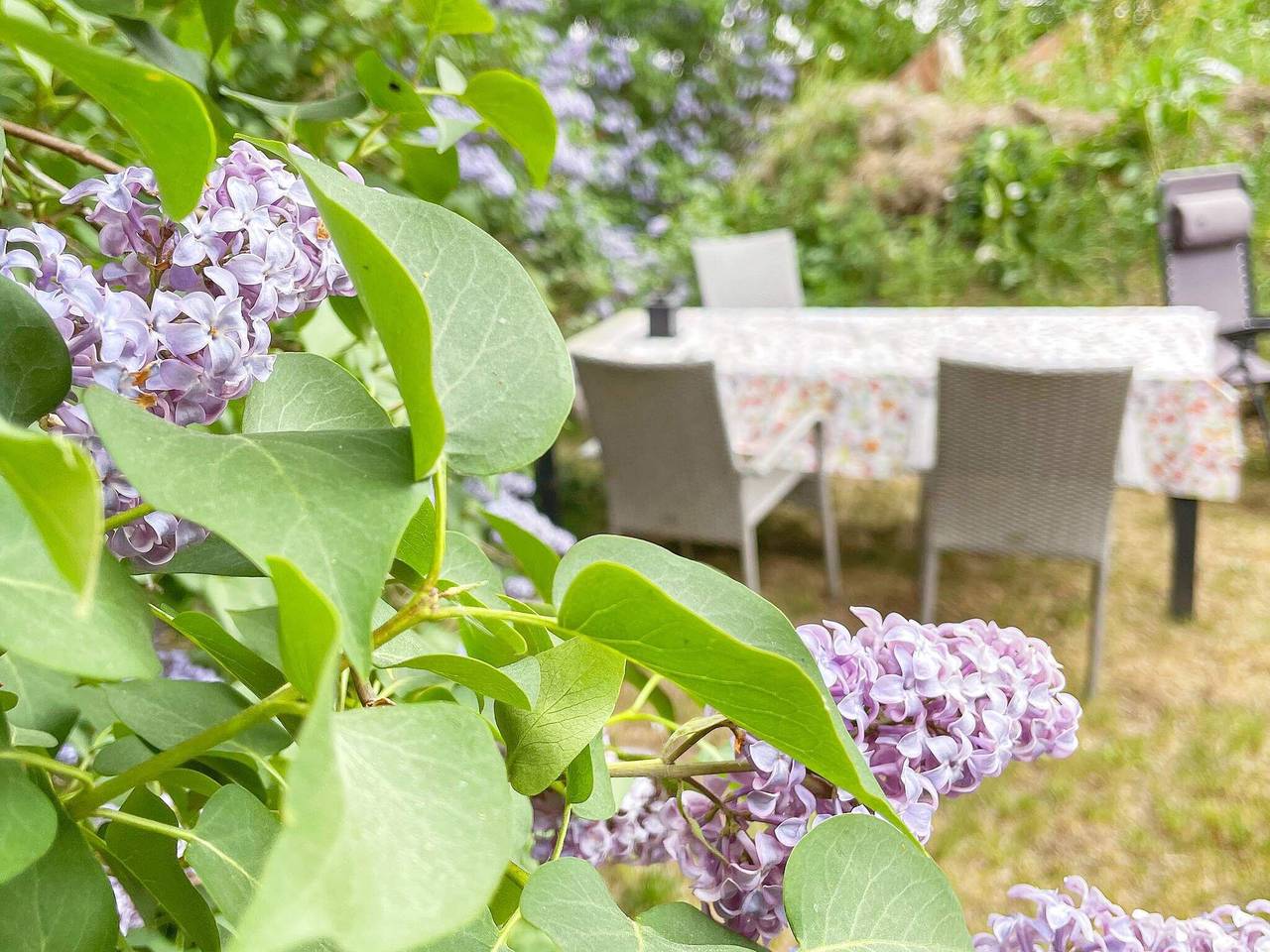 4 Personen Ferienhaus in Furuby-By Traum in Kronoberg