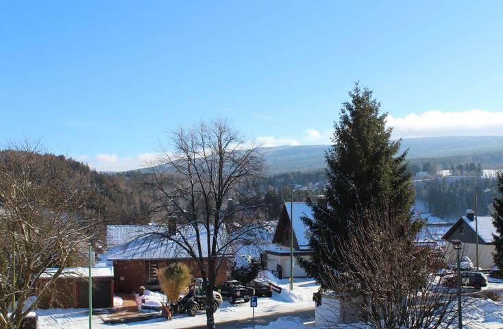 Ferienwohnung für 5 Personen, mit Balkon im Harz - 2