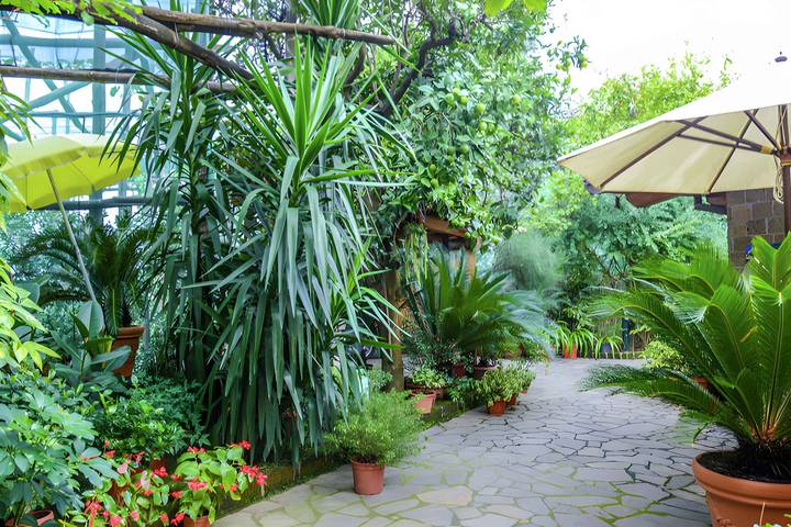 Gîte pour 4 personnes, avec jardin à Sorrento - 3