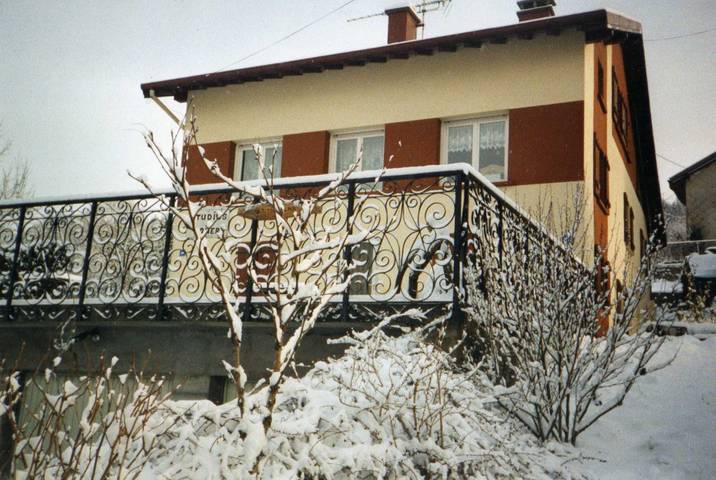 Studio für 3 Personen, mit Seeblick und Garten sowie Terrasse in Gérardmer - 2