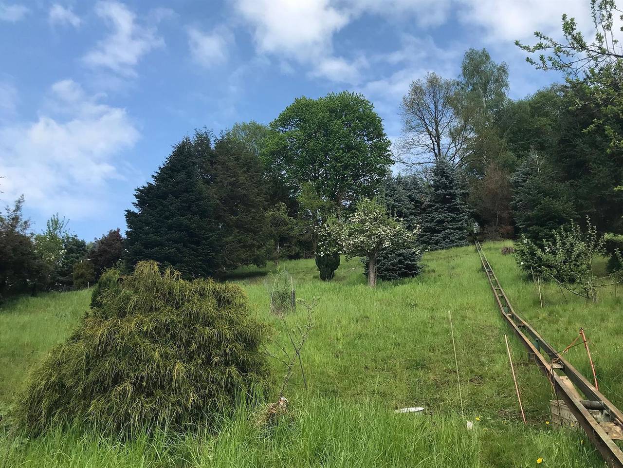 Ganze Ferienwohnung, Ferienwohnung Festungsblick - Ferienwohnung, 1 Schlafraum in Königstein, Elbsandsteingebirge