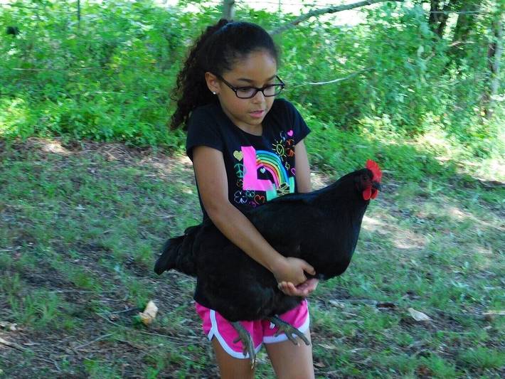 Vacation rental for 6 people, with terrace and yard in Smith Mountain Lake