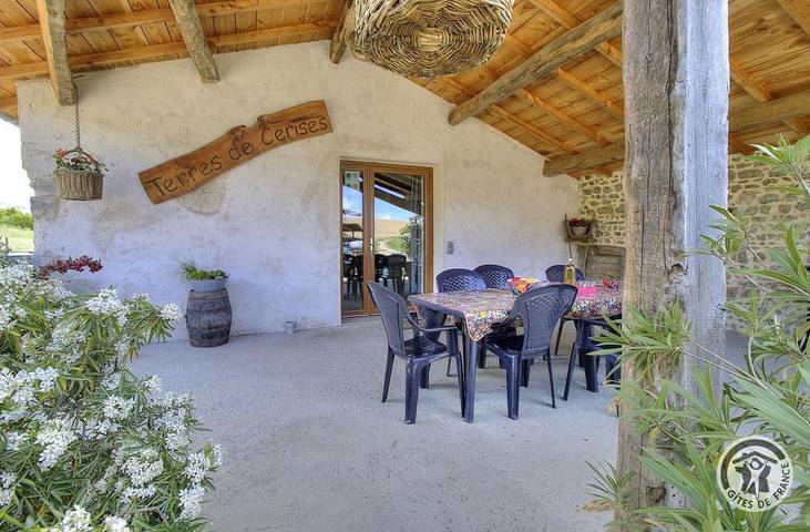 Gîte pour 6 personnes, avec terrasse dans Rhône - 3