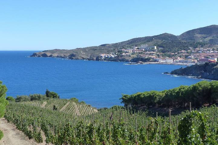 Appartement de vacances pour 4 personnes, avec jardin et terrasse - 1