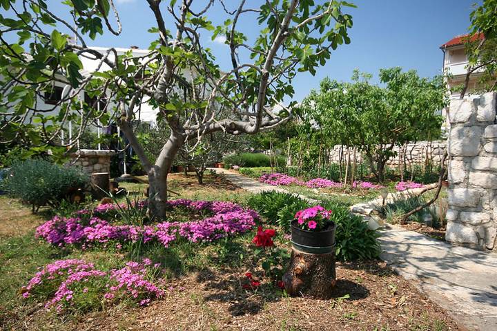Ganze Wohnung, Appartement mit Meerblick, Klima, Wifi, Parkplatz in Vela plaža, Baska