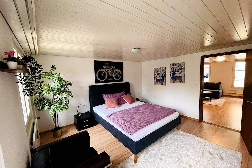 Ganze Wohnung, Gemütliche Altbauwohnung im Zentrum in St. Gallen, Bodensee (Schweiz)