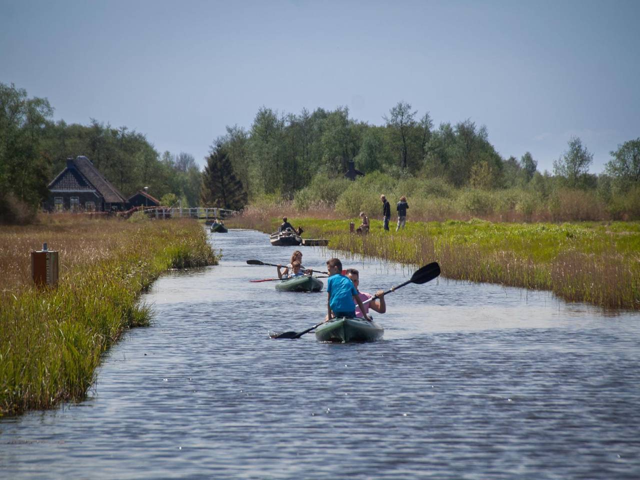 Ferienhaus in Friesland mit Wintergarten in Nationalpark Weerribben-Wieden