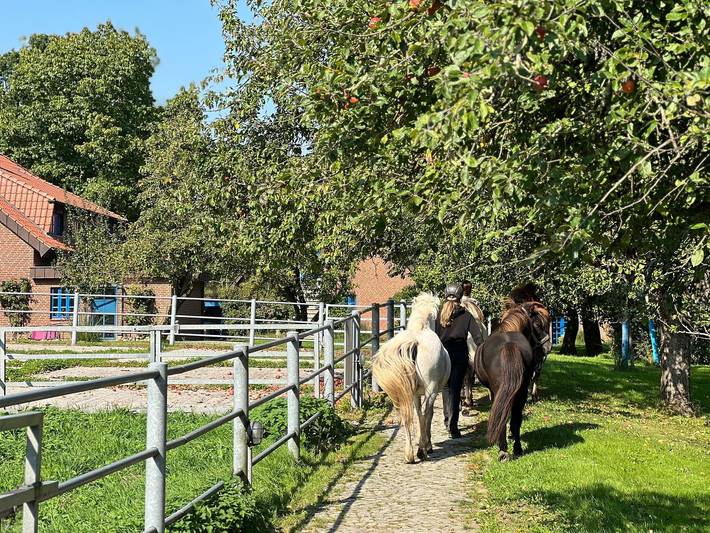 Ferienwohnung für 4 Personen, mit Garten und Ausblick, mit Haustier - 1