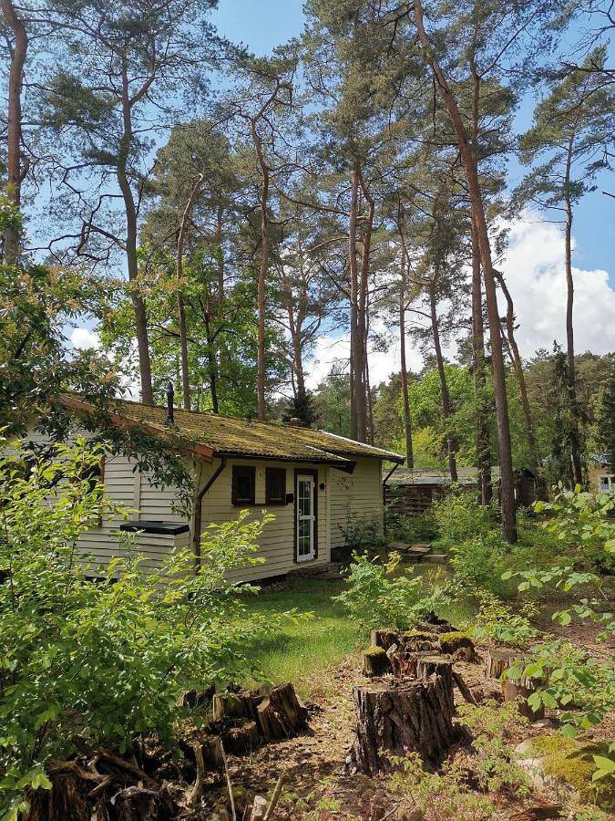 Ferienhaus für 3 Personen, mit Terrasse und Garten in Mardorf