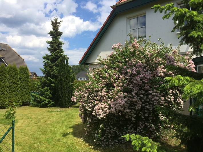Appartement de vacances pour 4 personnes, avec jardin - 1