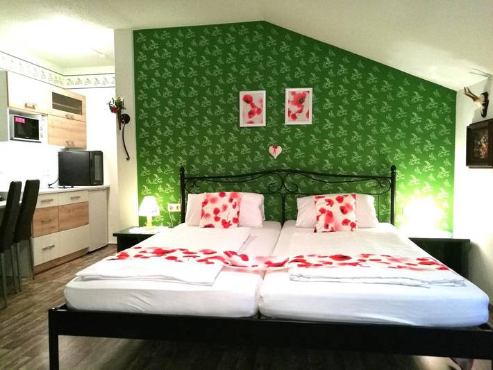 Apartmenthotel für 3 Personen, mit Sauna und Terrasse sowie Whirlpool und Garten - 1