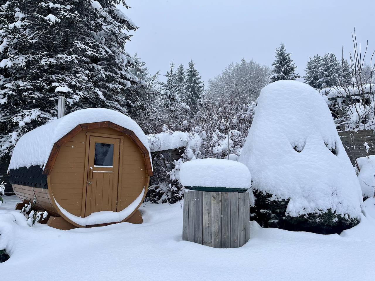 Selma in Goldlauter - Heidersbach, Suhl