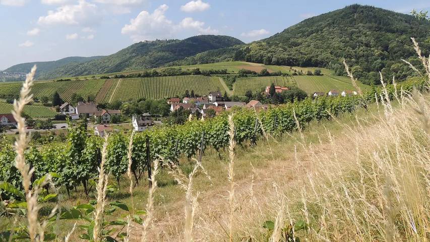 Ferienwohnung für 3 Personen, mit Sauna und Balkon sowie Garten in Trifelsland - 4