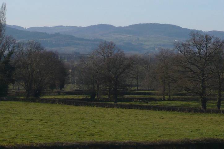 Chambre d’hôte pour 3 personnes, avec jardin dans la Loire - 4