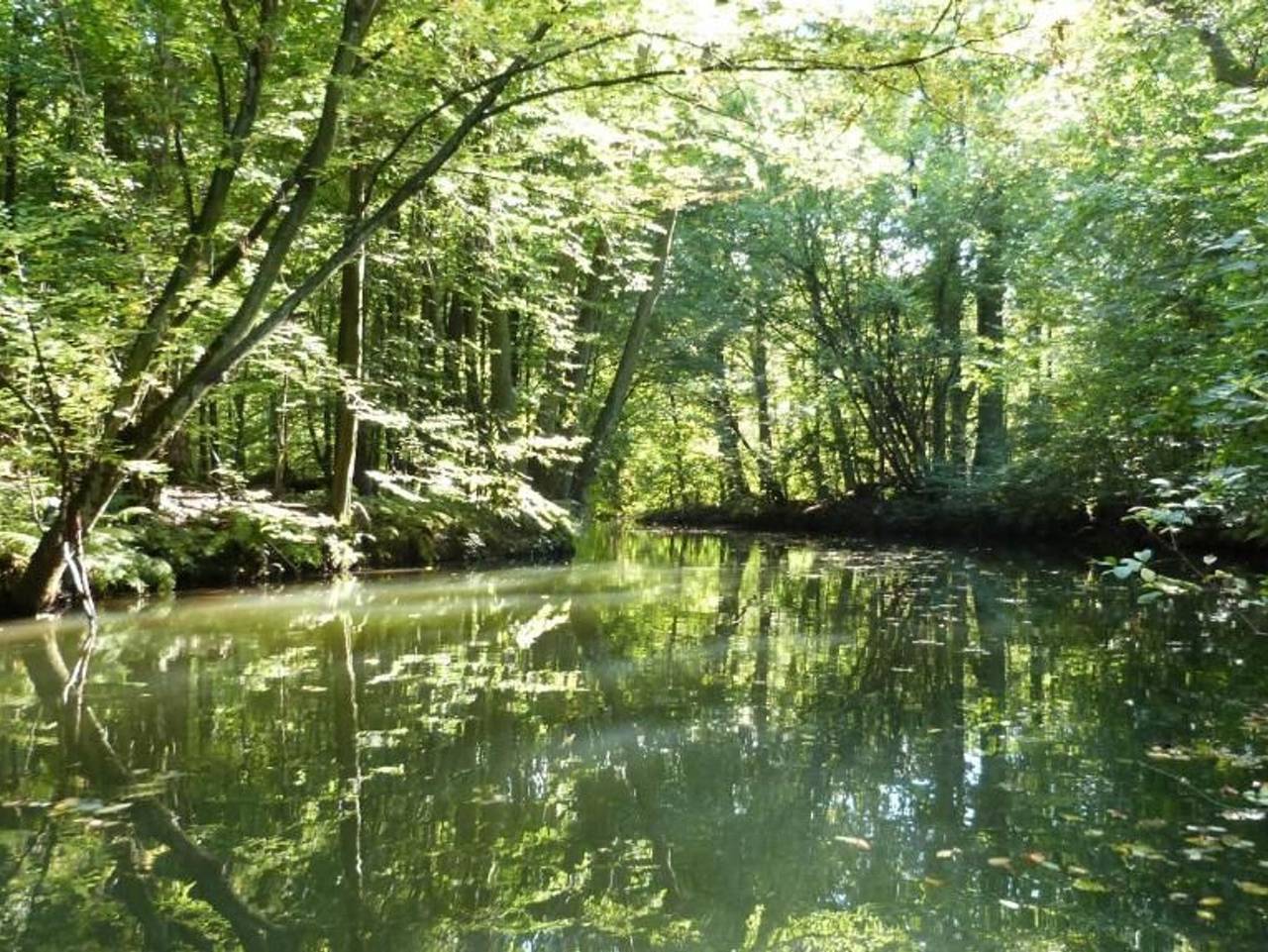 Ganze Ferienwohnung, Liubas Insel - Studio Luna in Märkisch Buchholz, Dahme-Seengebiet