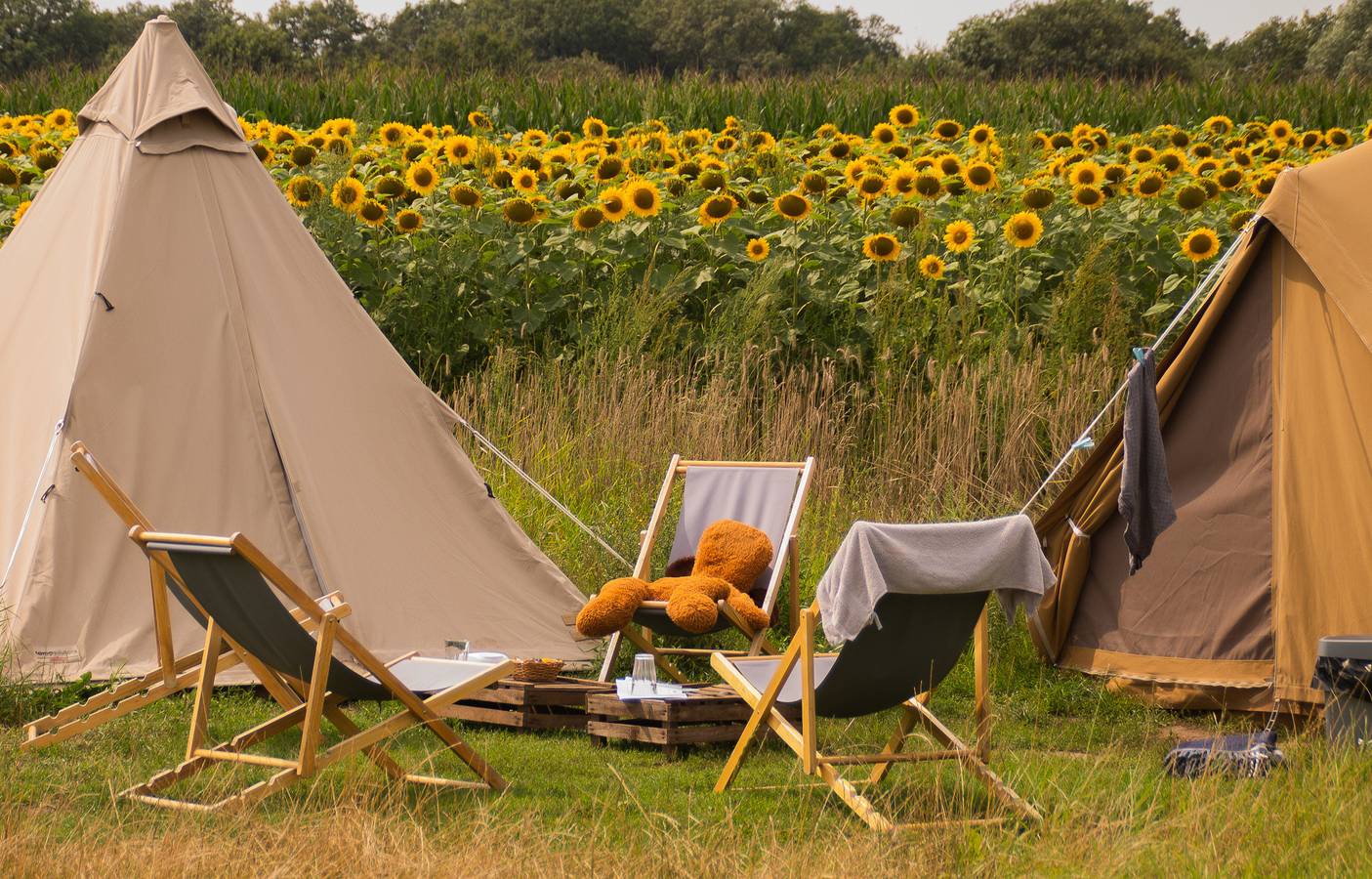 Vakantiepark Mölke — Pop-up glamping: Buurvrouws' Belltentje | 2-4 pers. in Sallandse Heuvelrug