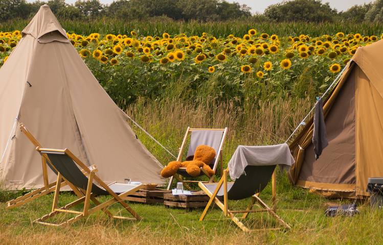 Camping für 4 Personen in Overijssel - 2