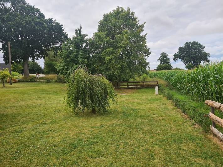 Ferienhaus für 7 Personen, mit Terrasse und Garten sowie Sauna in Norderbrarup - 4