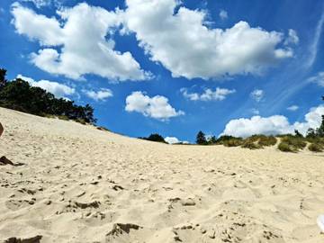 Ferieudlejning til 10 Personer i Mørkholt, Hvidbjerg Strand, Billede 4