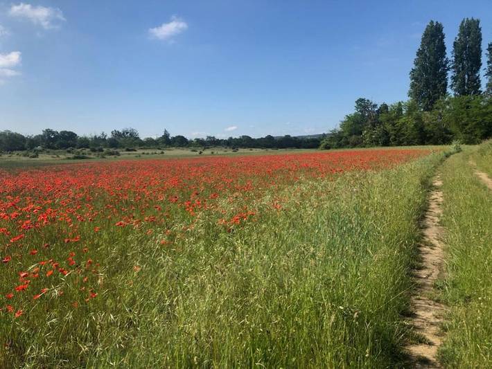 Location de vacances pour 6 personnes, avec terrasse à Freneuse - 3