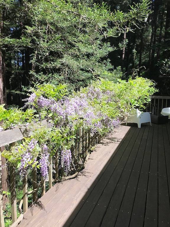 Gut ausgestattetes, privates Cottage in Ihrem persönlichen Park in California North Coast