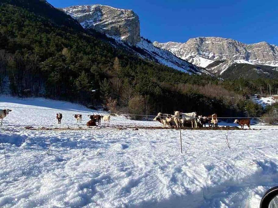Très Grand Gîte équipé à la montagne in Le Glaizil, Parc national des Écrins