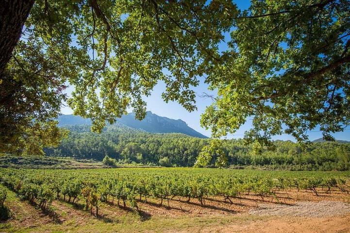 Maison de vacances pour 20 personnes, avec Balcon et Jardin à La Celle (Var)